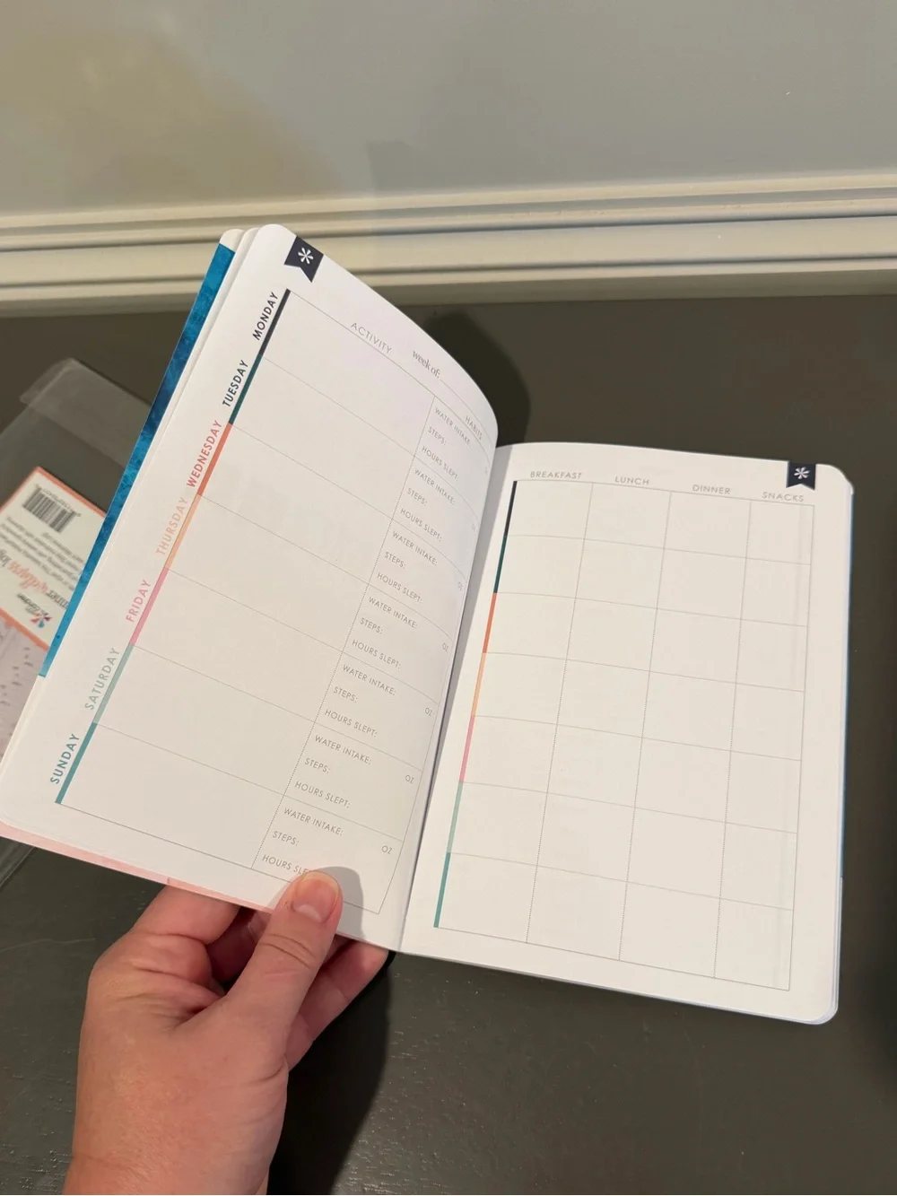 Erin Condren petite planner